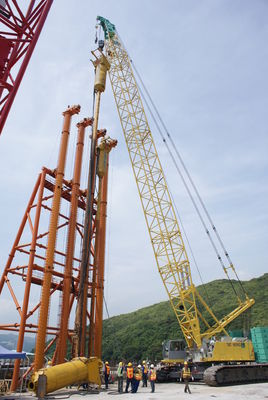 購入 水底給餌 バイブロフロート 土壌コンパクター 離心力 225-275 KN online manufacture